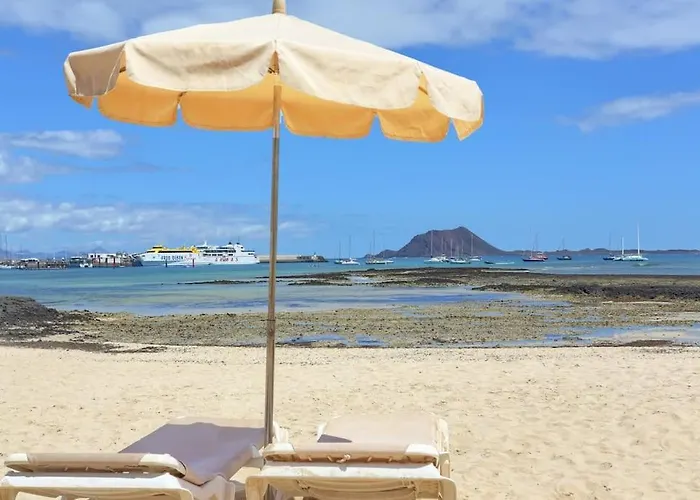New - Amazing Apartment By The Beach